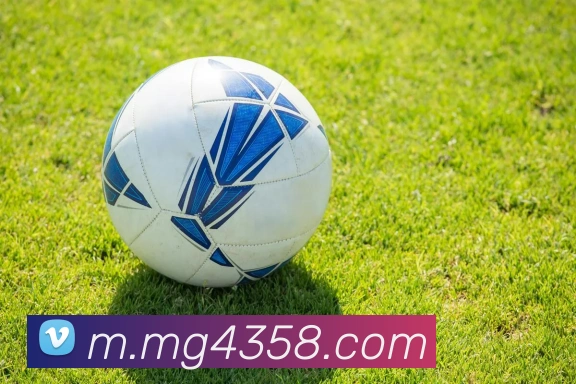 MG娱乐平台官网平台生态图