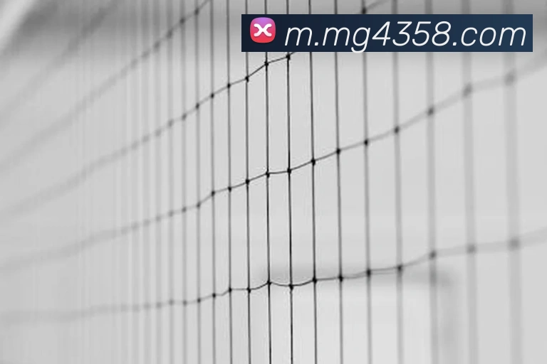 MG娱乐平台官网APP 封面图